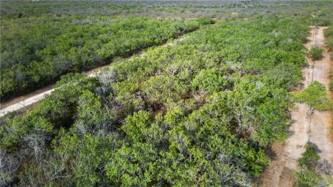 5781 County Road 308 Orange Grove TX 78372