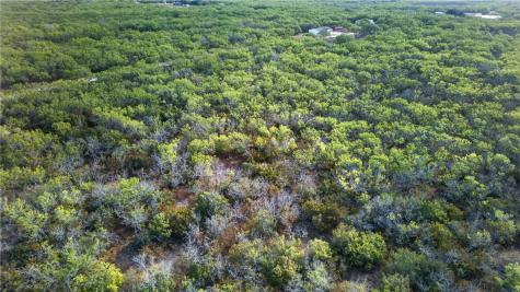 5781 County Road 308 Orange Grove TX 78372