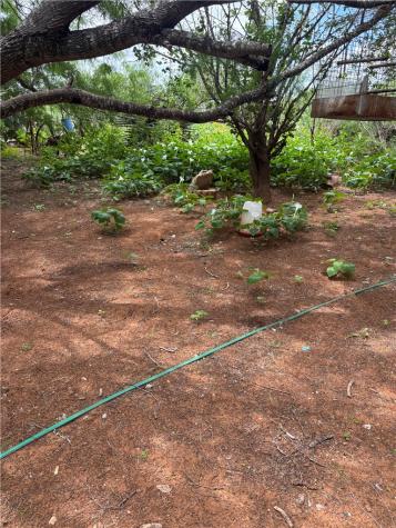 43 Robbie Street Hebbronville TX 78361