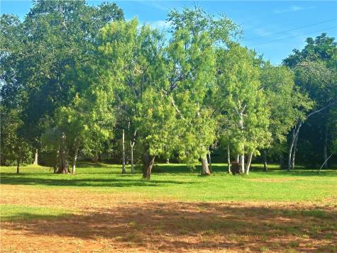 508 Lagunillas Avenue Charlotte TX 78011