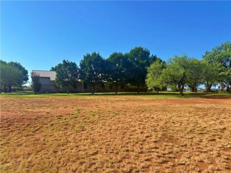 508 Lagunillas Avenue Charlotte TX 78011