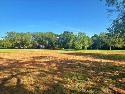 508 Lagunillas Avenue Charlotte TX 78011