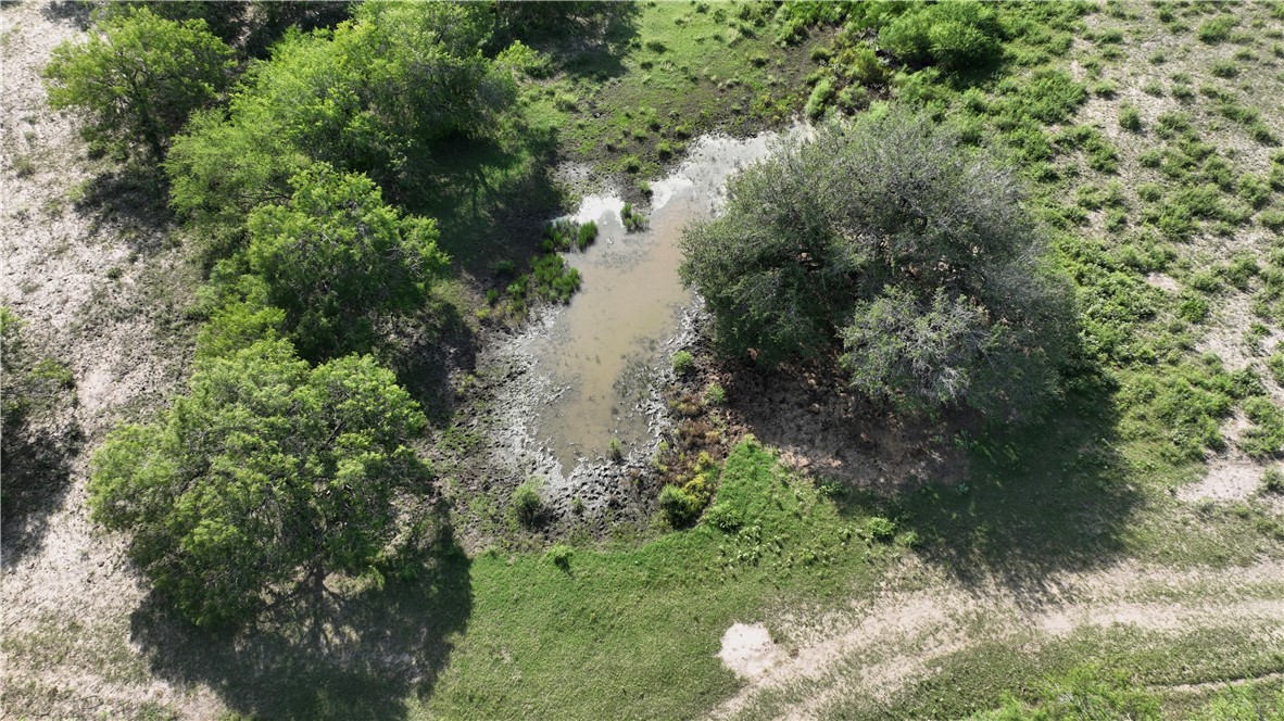 571 Fm 799 George West TX 78022