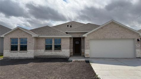 3533 Sahar Lake Drive Robstown TX 78380