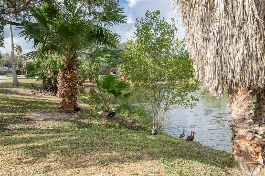 6138 Hidden Cove Corpus Christi TX 78412