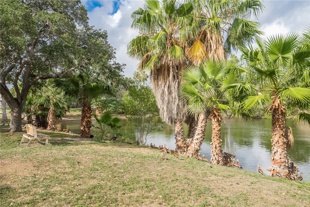 6138 Hidden Cove Corpus Christi TX 78412