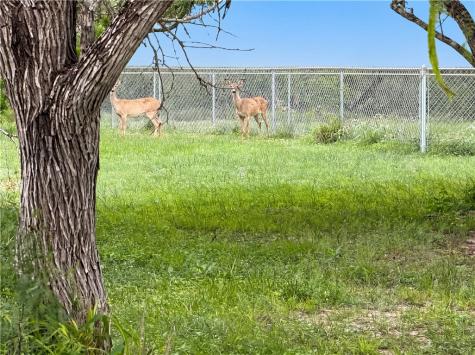 212 House Avenue Sandia TX 78383