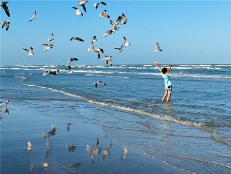 175 Five Dove Port Aransas TX 78373