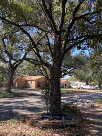 1807 Alta Vista Street Alice TX 78332