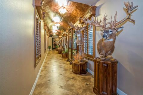 244 County Road 373 Sandia TX 78383