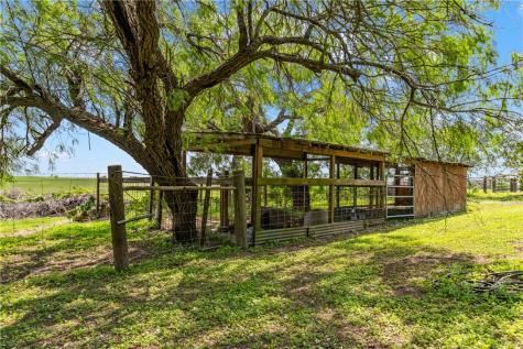 439 E Fm 1118 Kingsville TX 78363