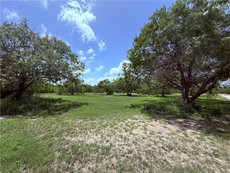 5742 Hidden Valley Loop Sandia TX 78383