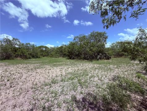 5742 Hidden Valley Loop Sandia TX 78383