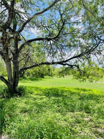 5742 Hidden Valley Loop Sandia TX 78383