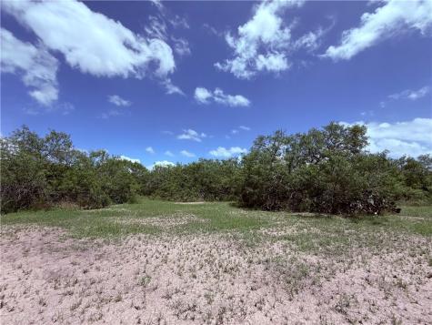 5742 Hidden Valley Loop Sandia TX 78383