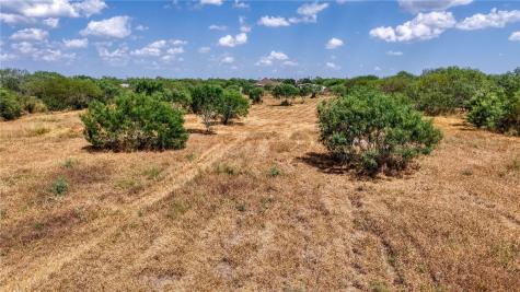 894 County Road 465 Alice TX 78332