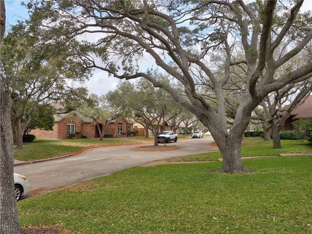 7022 Dunsford Drive Corpus Christi TX 78413