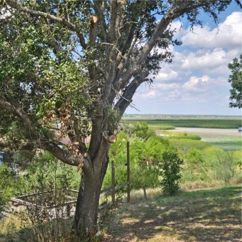 101 Byler Sandia TX 78383