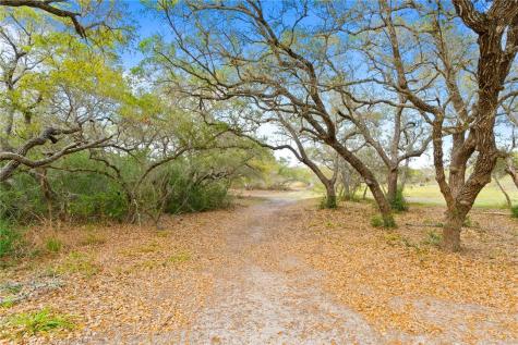 1402 W Johnson Avenue Aransas Pass TX 78336