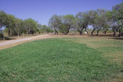 779 S County Road 1145 Riviera TX 78379