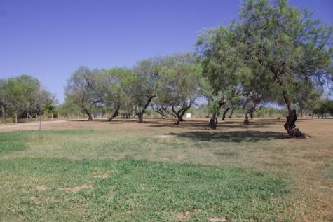 779 S County Road 1145 Riviera TX 78379