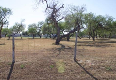 779 S County Road 1145 Riviera TX 78379