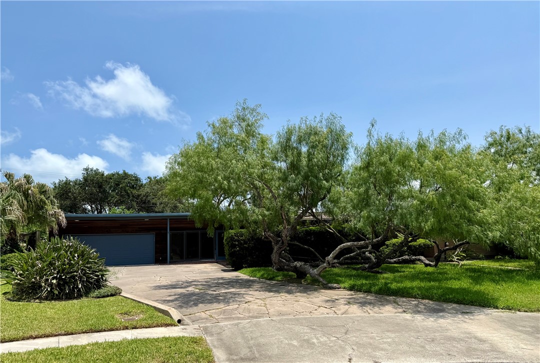 217 Baycliff Drive Corpus Christi TX 78412