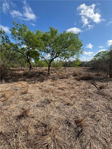 369 Edith Drive Alice TX 78332