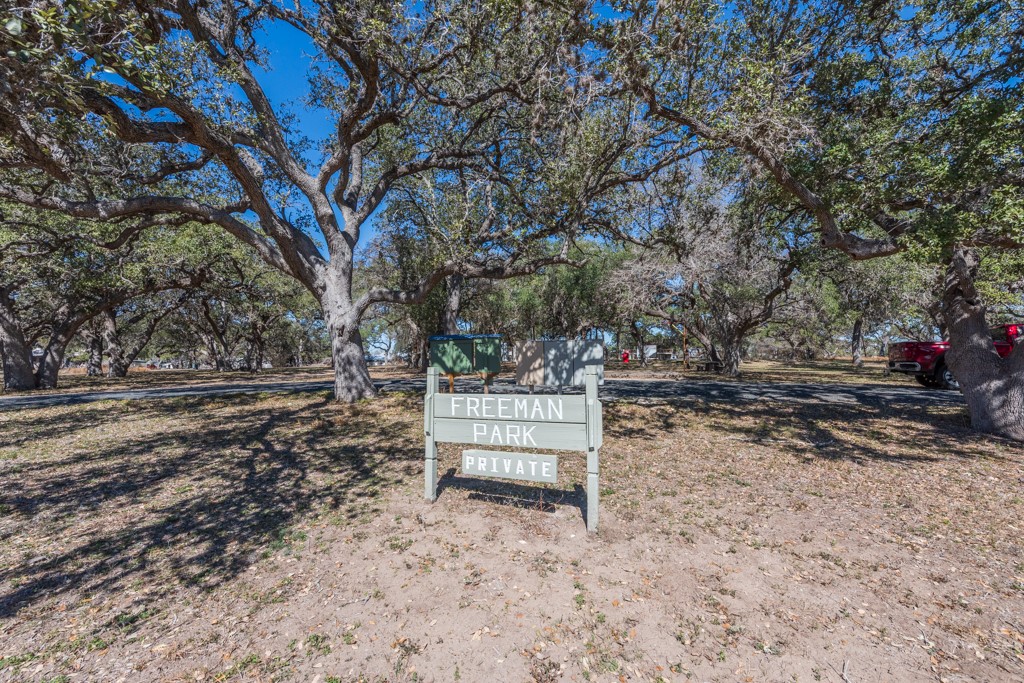 167 Buckeye Knoll Road George West TX 78022