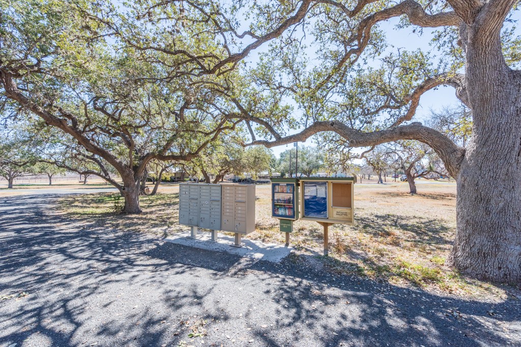 167 Buckeye Knoll Road George West TX 78022