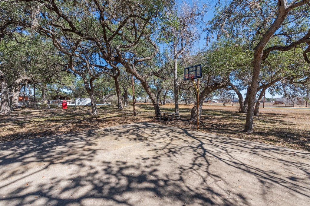 167 Buckeye Knoll Road George West TX 78022
