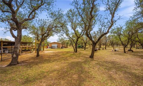 9667 Cr 628 Sinton TX 78387