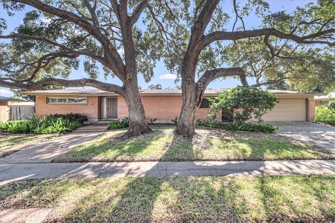 409 Coral Place Corpus Christi TX 78411