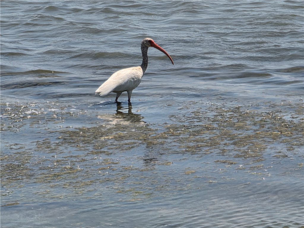 34 Redbird Rockport TX 78382