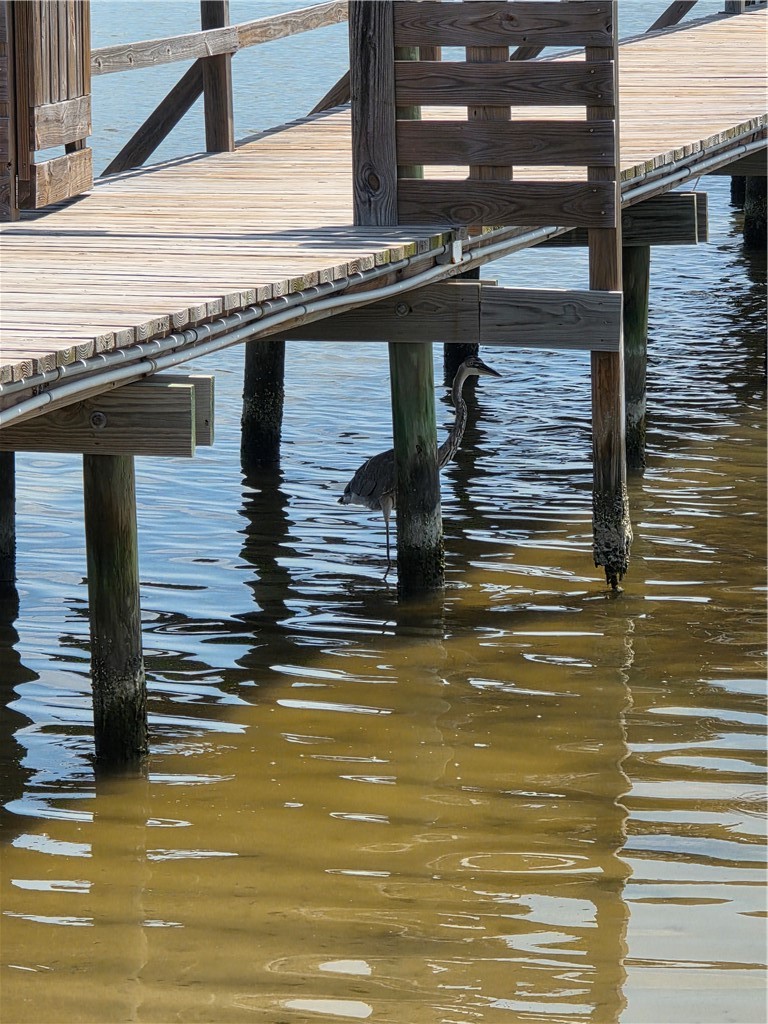 34 Redbird Rockport TX 78382