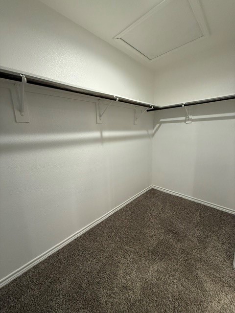 7709 Iron Man Drive Corpus Christi TX 78414