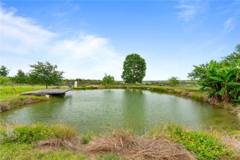 318 County Road 3032 Orange Grove TX 78372