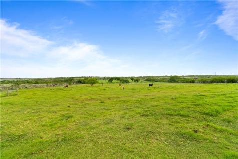 318 County Road 3032 Orange Grove TX 78372