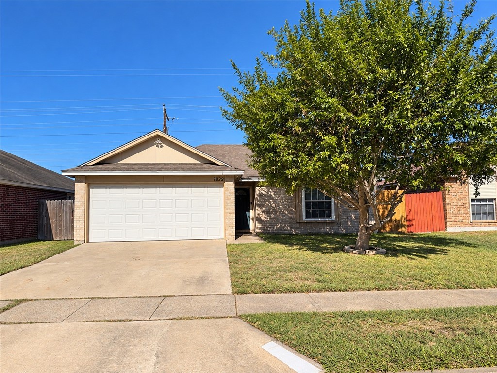 7829 Fox Drive Corpus Christi TX 78414