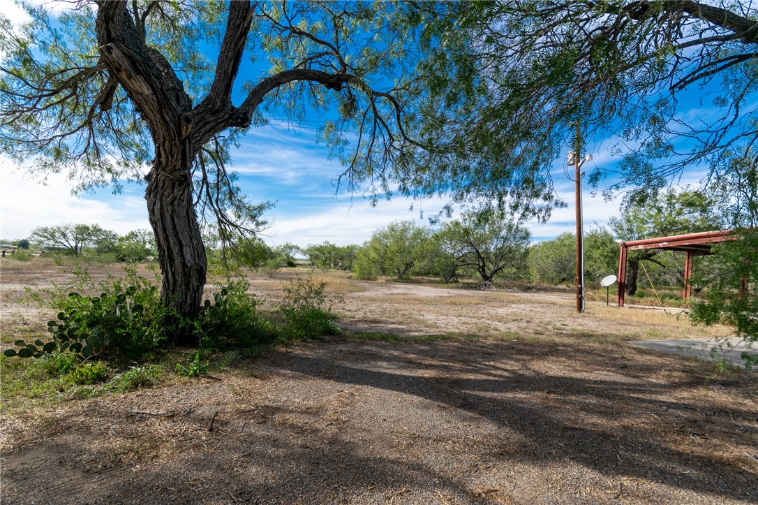 3867 Highway 59 George West TX 78022