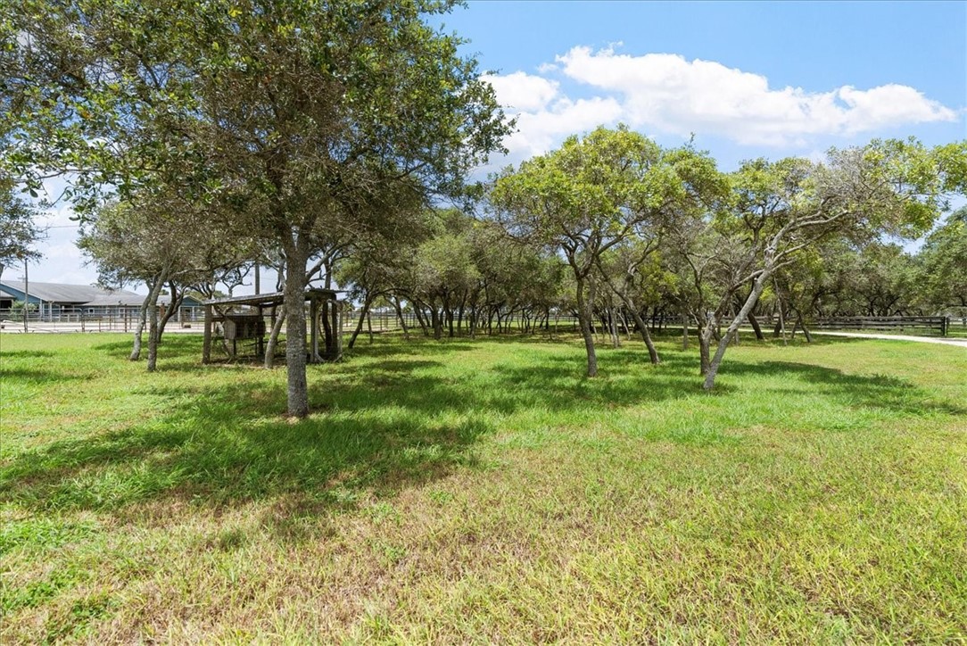 1433 Glenoak Drive Corpus Christi TX 78418