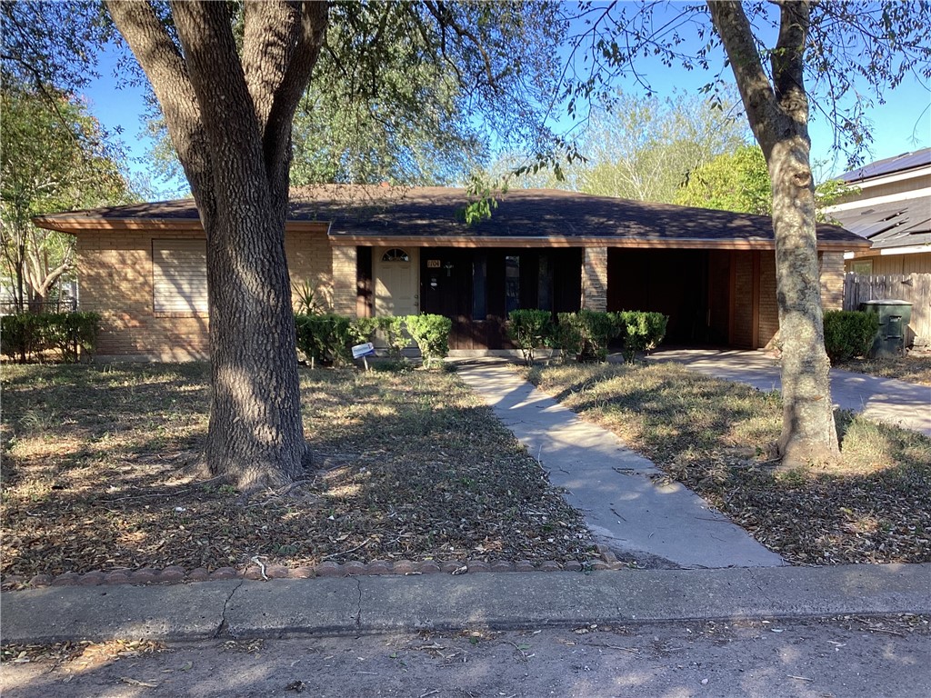 1704 Odilia Street Alice TX 78332