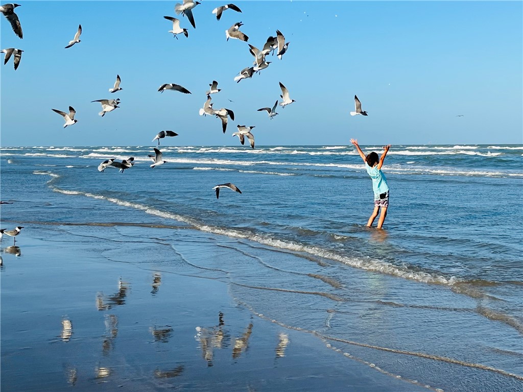 175 Five Dove Port Aransas TX 78373