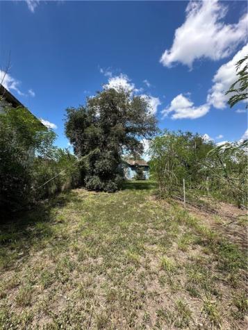 425 E Richard Avenue Kingsville TX 78363