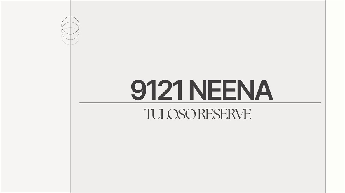 9121 Neena Drive Corpus Christi TX 78410