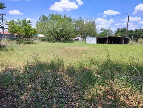 412 West Magnolia Hebbronville TX 78361