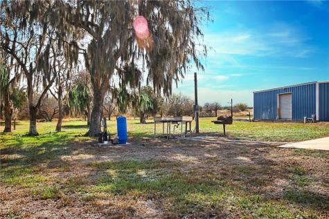 1209 County Road 3651 Sandia TX 78383