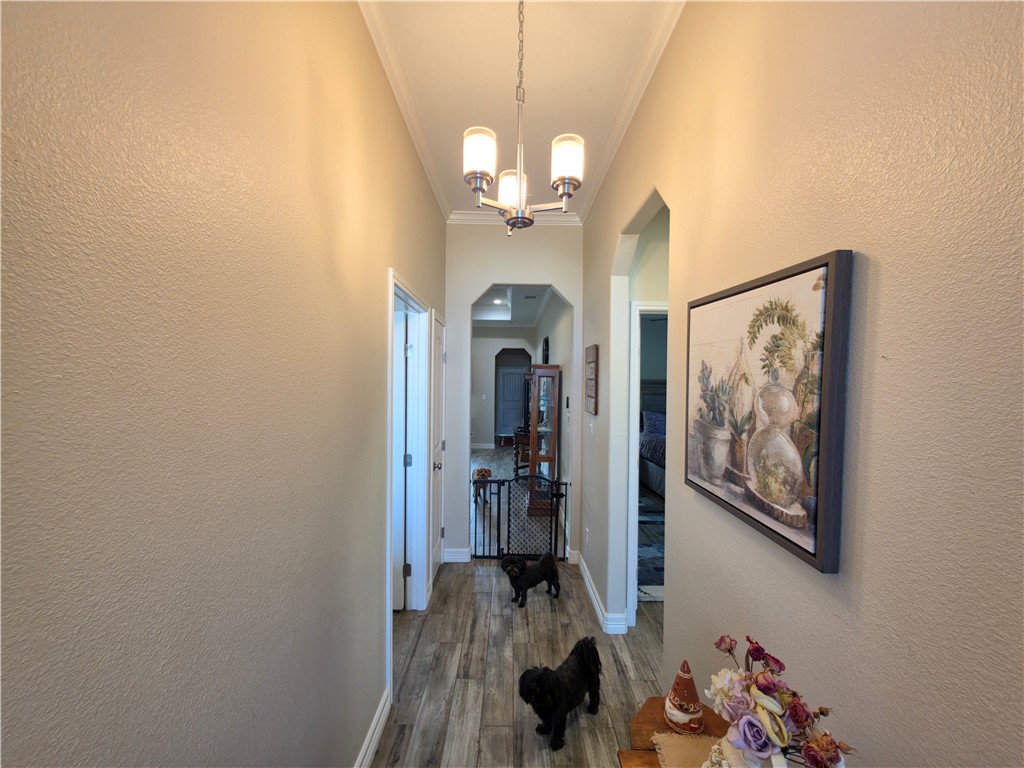 3901 Pennine Way Corpus Christi TX 78414