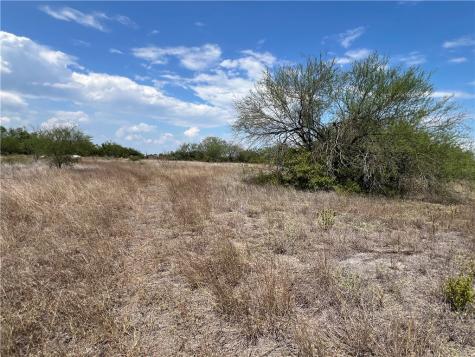 165 County Road 3061 Orange Grove TX 78372