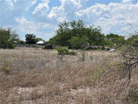 165 County Road 3061 Orange Grove TX 78372